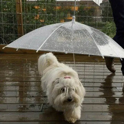 ( Lesy )™ -Sombrilla Paraguas Para Perro : Protección Total Para Días Lluviosos