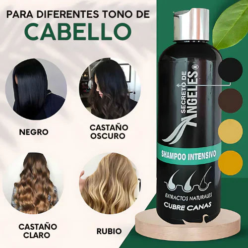 ( secreto de angeles)™ -Shampoo Cubrecanas Splas Capilar  : ¡Despídete de las canas sin tintes ni químicos agresivos!