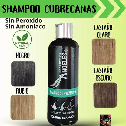 ( secreto de angeles)™ -Shampoo Cubrecanas Splas Capilar  : ¡Despídete de las canas sin tintes ni químicos agresivos!