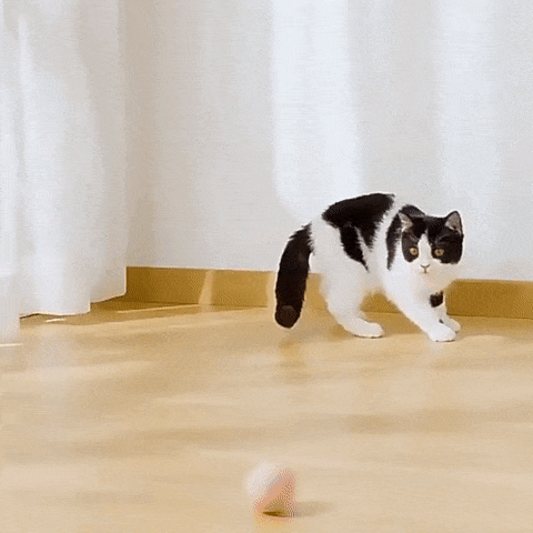 ( otasy)™ -Pelota Bola Inteligente Para Gatos : Diversión Infinita para tu Gato