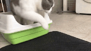 ( Pieviev )™ -Tapete Arena Para Gato:¡Adiós al Desorden! La Solución Perfecta para tu Gato